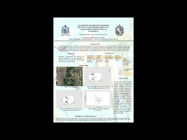 Vídeo relacionado con Análisis Dasométrico del mezquite: Estudios Fisonómico y Dasométrico del mezquite ("Prosopis spp.") en rodales del Norte de México
