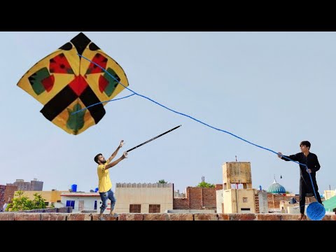 Very Fast Kite Fly In The World #shorts #149