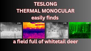 REVIEW: TESLONG Thermal Imaging Monocular | Handheld Infrared Thermal Scope