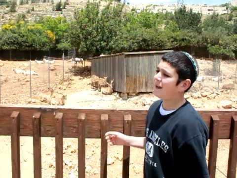 Sefira Music Part 4-YIsroel Amar in Israel A capela