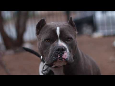 ACE PE$OS | Stretch (Music Video) shot by @AustinLamotta