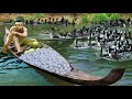 Survival In The Rainforest Find Lots Of Egg Duck Cook Duck With Coconut Eating Delicious