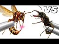 The SHOCKING Truth About AntTrek Ant Colony Simulation