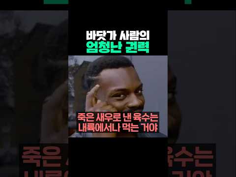 바닷가 사람의 엄청난 권력