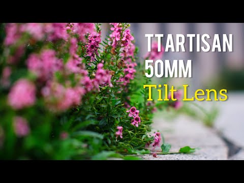 Unlocking Creative Potential with TTArtisan 50mm f1.4 Tilt Lens (full-frame)