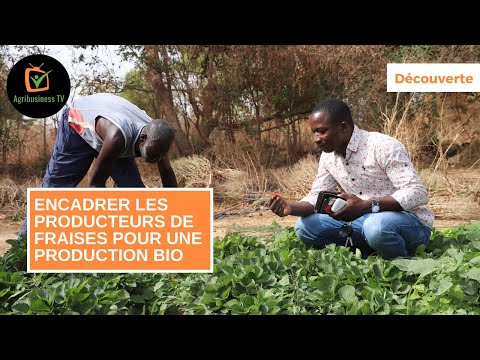 Encadrement producteurs