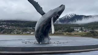 First Time in Juneau, Alaska | What You See When You Step Off an Alaska Cruise