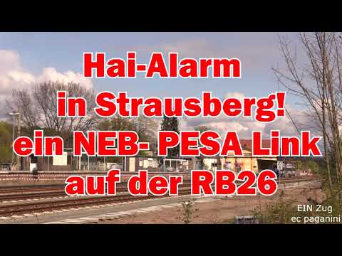 Hai- Alarm in Strausberg! Ein NEB PESA Link auf der RB26