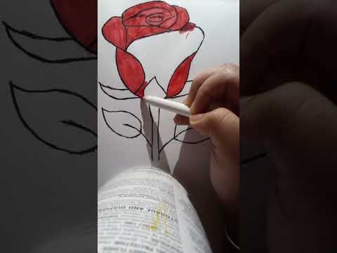 Color easy rose 🌹
