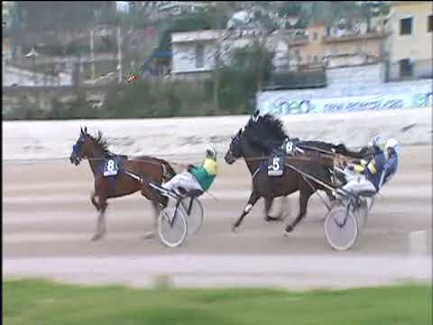 Trotto 23/03/2018 - 6ª corsa