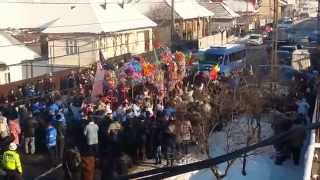 preview picture of video 'Capra Băltenilor, Oituz, Bacau! 31.12.2014'