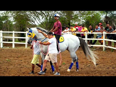 O grande Derby: DICKY BRUMMEL vs In Love Heart HBR...