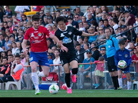 Grand Final Highlights - PS4 NPL NSW Men's 1 - 2015