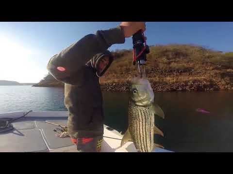 Shayamanzi Tiger Fishing in Lake Jozini