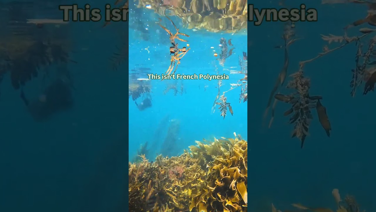 YouTube Short thumbnail