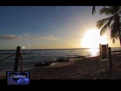 I'd Fly -  Francesca Belenis