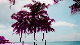 Hedley - |better days|