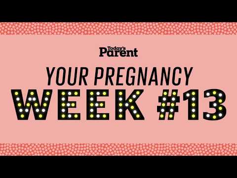 Your pregnancy: 13 weeks