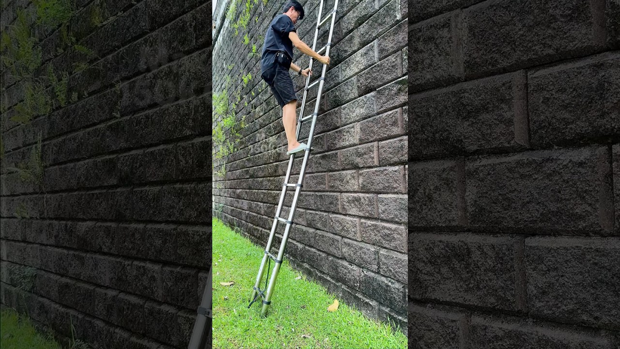 Sturdy Stainless Steel Telescopic Ladder: Easy Storage and Transport #ladder #telescopicladder