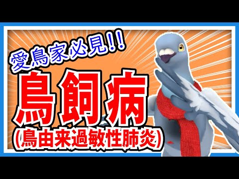 鶏の病気とその症状 - 鳥のイチジク