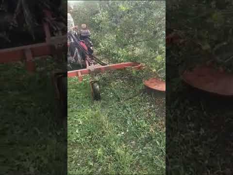 5.sensor operated inter row weeder/grass cutter