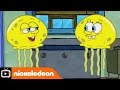 SpongeBob SquarePants | Two Sponges | Nickelodeon UK