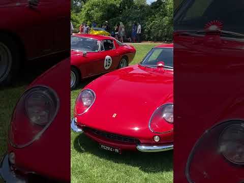 Thumbnail for Ferrari 275s everywhere. #garageriot #cars #ferrari by Ferrari, Ferrari 275, Car