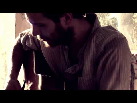 Ferraby Lionheart - "Yellow Wings"