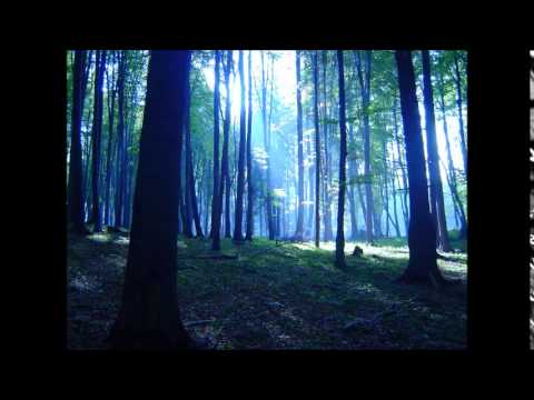 Wardruna   Runaljod - Gap Var Ginnunga 2009