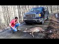 We Hit A Deer So We Ate It