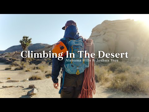 Good Times Climbing In The Desert 🌵  | Alabama Hills & Joshua Tree National Park