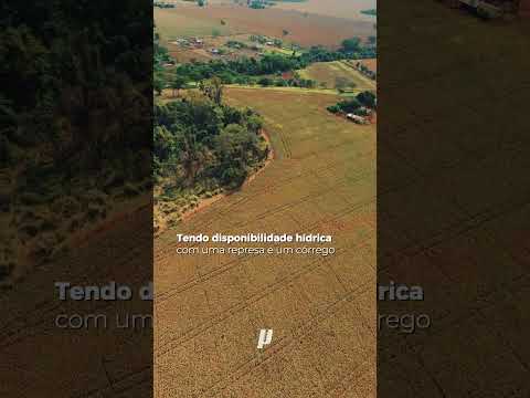 Fazenda à venda em Rio Verde Goiás