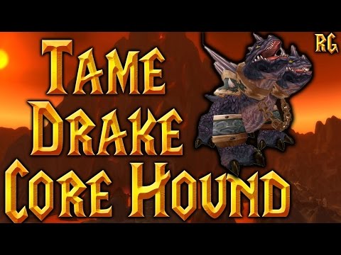 How to Tame the Drake Core Hound - Chromaggus - Black Wing Lair - World of Warcraft Walk through