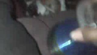 beAt up in my trunk - HurricAne