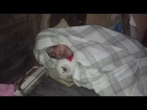 Crazy Point - 40TENA FRESTYLE (Fritai batata + super yeison world 2)