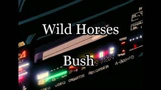 Bush - Wild Horses - Live 1997 (Legendado)