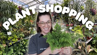 Houseplant shopping somewhere NEW + haul! 🪴👀