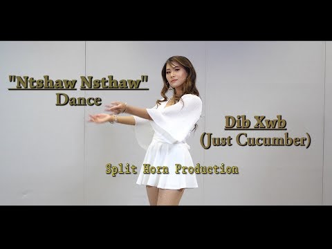 Ntshaw Ntshaw (Dance Version) by: Dib Xwb