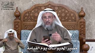 681 - مصير الحيوانات يوم القيامة - عثمان الخميس