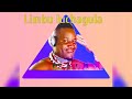 Limbu Luchagula INAGA LUNGWECHA Taifa Mbasha 2022