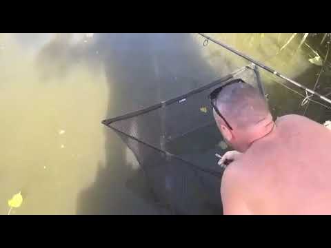 Lac Brateni , crap 11.80 kg , octombrie 2019