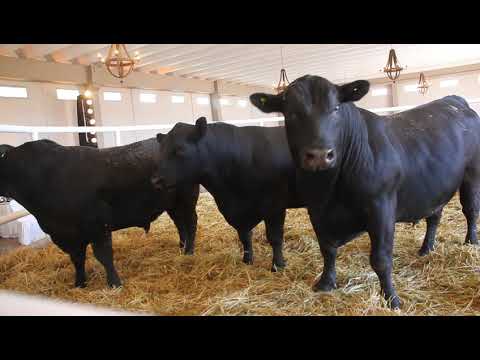 REMATE CABAÑA LOS  ALFREDOS