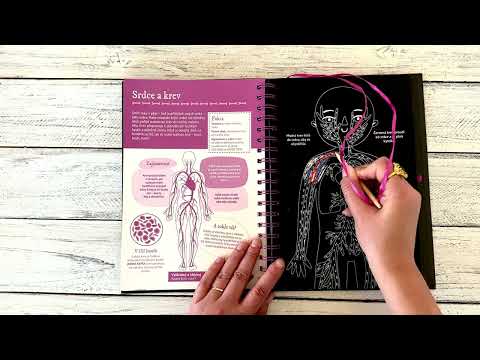 Vyškrabuj a poznávej Lidské tělo