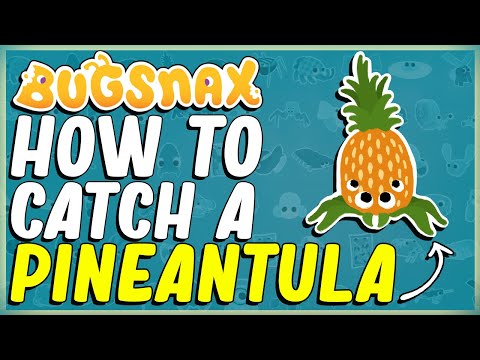HOW TO CATCH A PINEANTULA IN BUGSNAX -  WIGGLE -  PEN PINEAPPLE SIMMERING SPRINGS