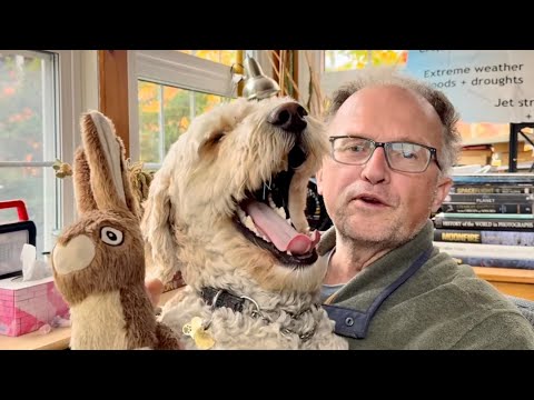 Global Tipping Points 2025: Everything You Want to Know