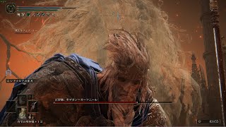エルデンリング ペガサスバグ de ローデイル侵入・エンディング目前？　EldenRing  flying horse glitch (Pegasus) at Leyndell