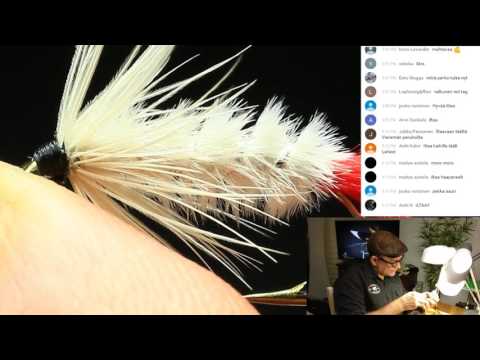 Pyssykylä Live Perhonsidonta 17.3.2017