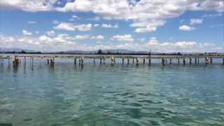 Lhasa de Sela - Abro la ventana