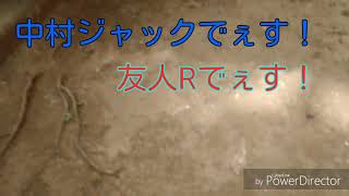 コカ・コーラで色々試す