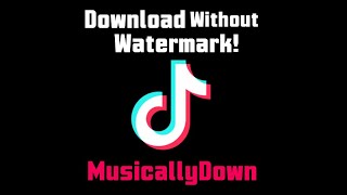 Download lagu MusicallyDown - Download TikTok MP3 & Videos [Tutorial] mp3